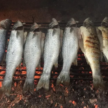 Ubytování v soukromí Yakamoz Mazi